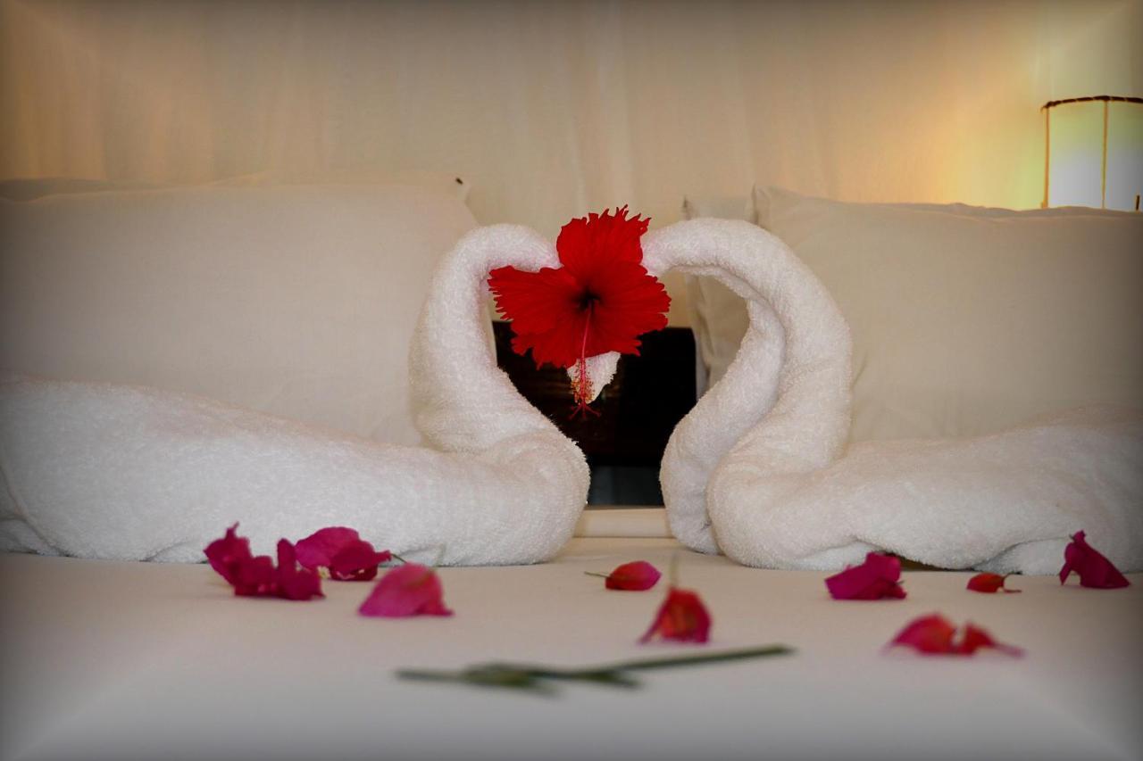 Nyumba Ya Paka Boutique Hotel マリンディ エクステリア 写真